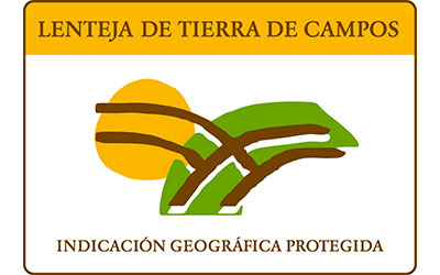 Lenteja Tierra de Campos